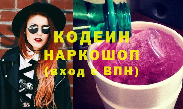 стаф Гусь-Хрустальный