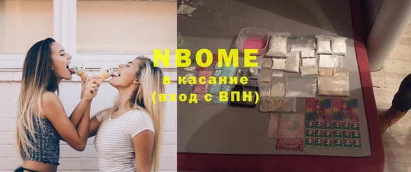 стаф Гусь-Хрустальный
