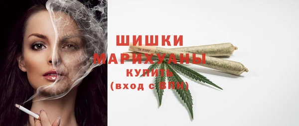 стаф Гусь-Хрустальный