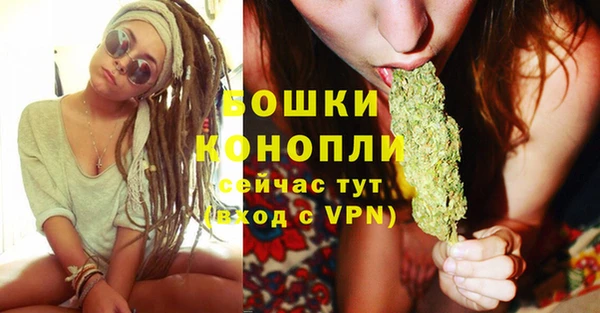 стаф Гусь-Хрустальный