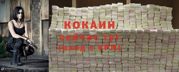 меф Гусев