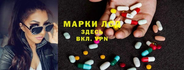 PSILOCYBIN Горнозаводск