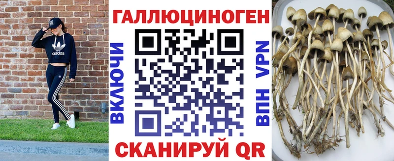 kraken зеркало  Нефтеюганск  Псилоцибиновые грибы Psilocybe 